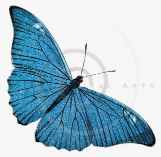 Silver Spiral Arts #9206178