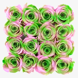 Pink And Green Preserved Roses - Garden Roses #9206180