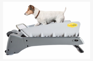 Dogtreadsideview New Small - Parson Russell Terrier #9206858