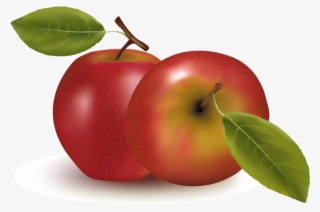 Orange Apple Apricot Cherry Plum Png Images - Fruits Vector #9206937