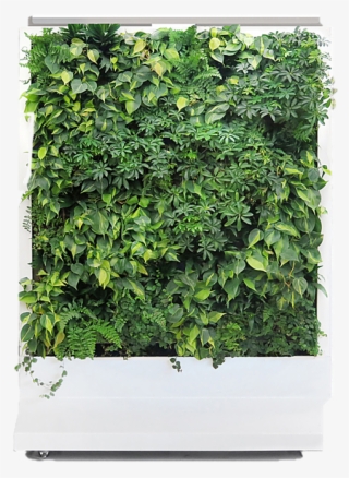 Duet Model - Flowerpot #9207151