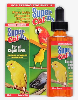 Parakeet #9207558