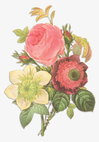 More - Floral Illustration Vintage #9208749