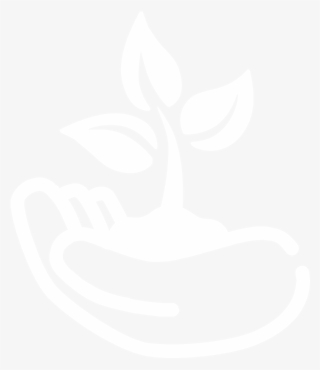 Iot In Mangrove Ecology & Diversity - Still Life Photography #9209328