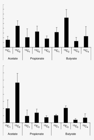 Download - Skyline #9211880