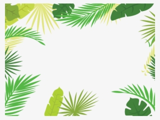 Drawn Branch Leaf Border Png - 棕櫚 葉 素材 #9213167
