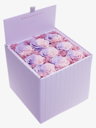 Picture Of Baby Doll - Box #9214121