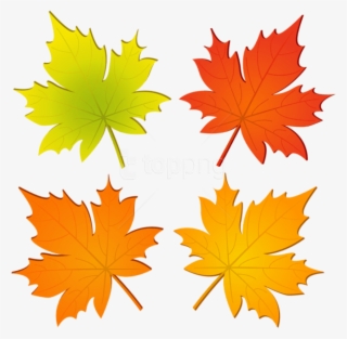 Free Png Set Of Autumn Leaves Png Png Images Transparent - Maple Leaf #9217014