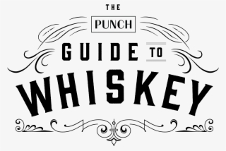 2382 X 1663 6 - Illustration #9218251