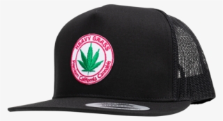 Baseball Cap #9219085