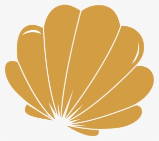 Shell Nereida Lngerie #9221834