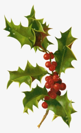 Vintage Christmas Cards #9222169