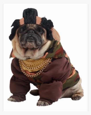 #5 50's Poodle Dress - French Bulldog Fancy Dress #9222495