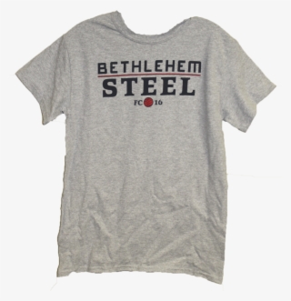 Gildan Men's Word Logo Tee- Grey - Descendents Shirt #9223229