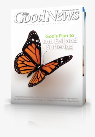 Butterfly Flying Digital Art #9223485