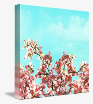 Cherry Blossom #9225596