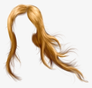 Imágenes Para Photoscape, Photoshop Y Gimp De Pelucas - Head Hair #9226465