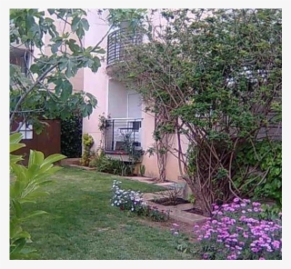 Planta Baja Con Jardin Romantico Home For Exchange - Backyard #9226595