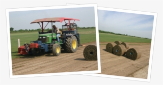 We Supply Sod To Landscapers, Contractors, Sports Facilities, - Tractor #9226633
