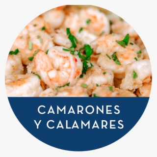 Wordpress Carousel Free Version - Scampi #9226771