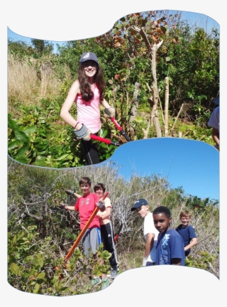 Saltus Island Project Gets Michael Darling Shield - Vacation #9227197