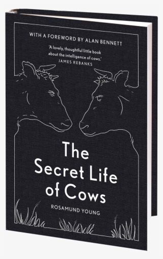 The Secret Life - Deer #9227432