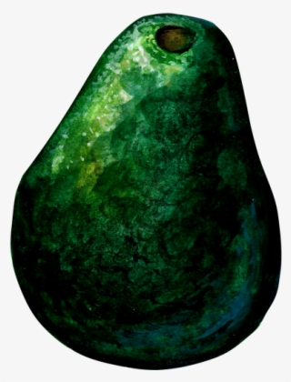 Avocado #9229448