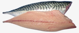 Atlantic Mackerel Fillet #9231567