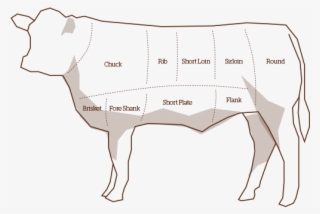 Working Animal #9231606