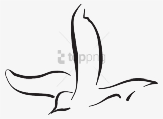 Free Png Download Flying Bird Line Drawing Png Images - Bird Line Art Flying #9231656