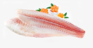 Un-trimmed - Fish Slice #9231813