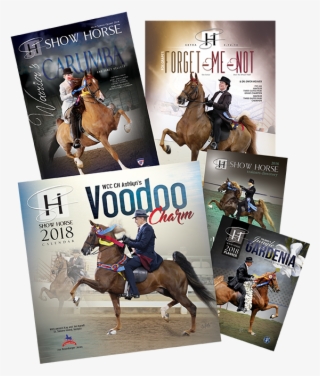 We Have A Limited Number Of Back Calendars, Planners, - Sorrel #9234962