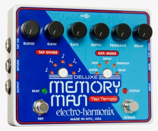 A New View On Tone - Deluxe Memory Man Tap Tempo #9235282