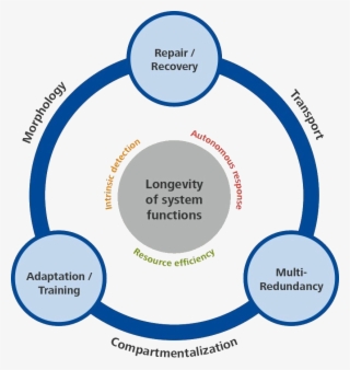C-2 Kreisgraphik Hp - Circle #9236440