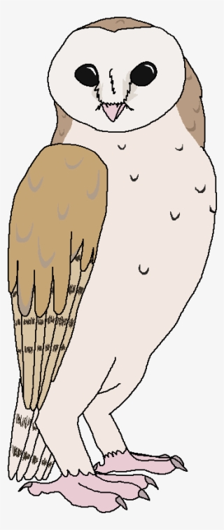 Barn Owl - Owl #9236707