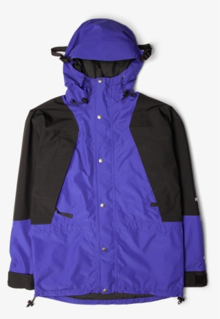 The North Face 1994 Retro Mountain Light Gore-tex® #9236768
