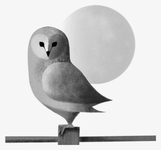 Click And Drag To Re-position The Image, If Desired - Owl #9236814