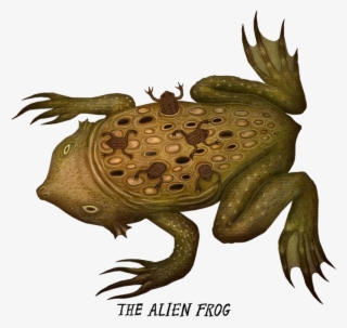 Creepy Frogs #9237936 Creepy Frogs #9237936