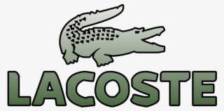 American Alligator #9239325