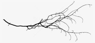 Free Png Tree Branch Png - Free Tree Branch Transparent #9239423