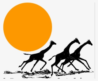 I Dream Of Africa - Giraffe #9239554