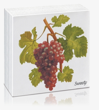 Always Good Looking On The Table - Seedless Fruit #9239606