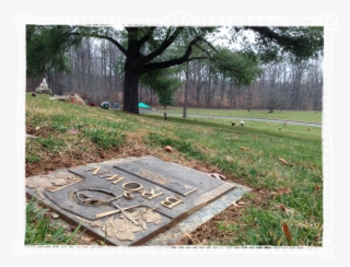 Video Message From The Dead - Grass #9240016