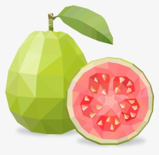 Guava Png File - Clipart Guava Png #9242417