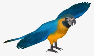 Blue Throated Macaw - Blue Throated Macaw Transparent #9243230