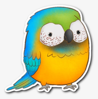 Blue Macaw Sticker - Budgie #9243391