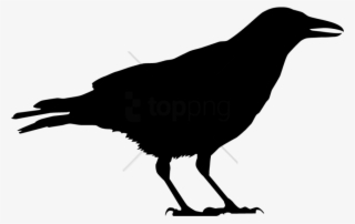 Free Png Black Crow Silhouette Png Image With Transparent - Black And White Crow Free #9244812
