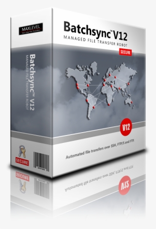 Two Batchsync V12 Licenses - Flyer #9245344
