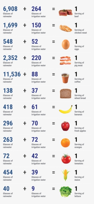 The Water Our Food Requires - Strawberry #9246889