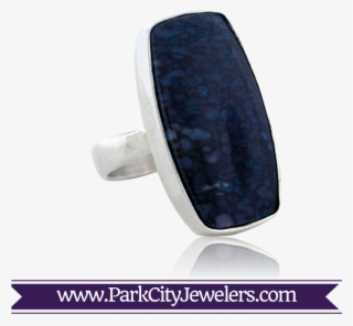 Dinosaur Bone Ring - Titanium Ring #9247847